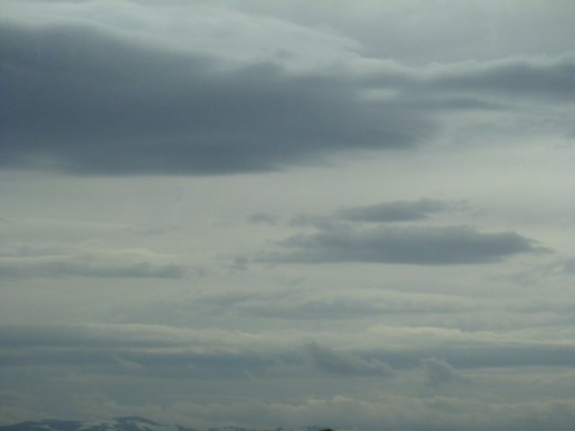p1030685.jpg