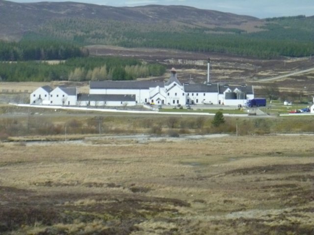 p1030695.jpg