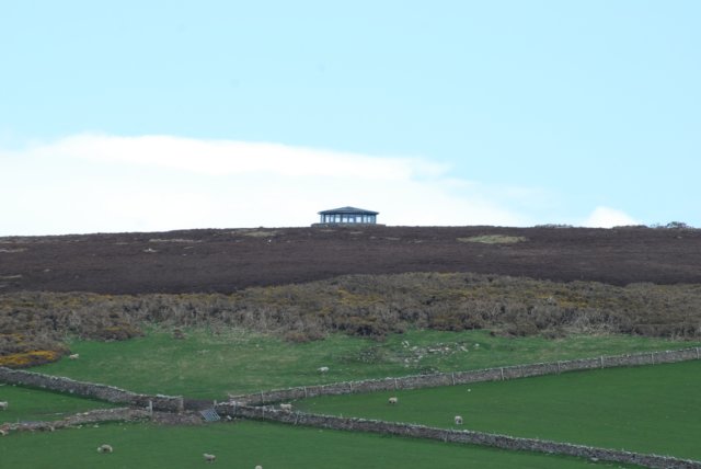 dsc_0455.jpg