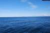 dsc_0499_small.jpg