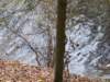 p1020309_small.jpg