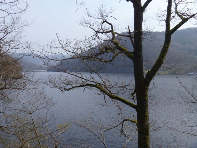 p1020311.jpg