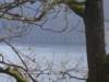 p1020312_small.jpg