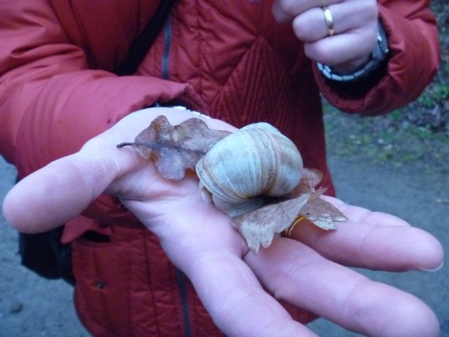 p1020363.jpg