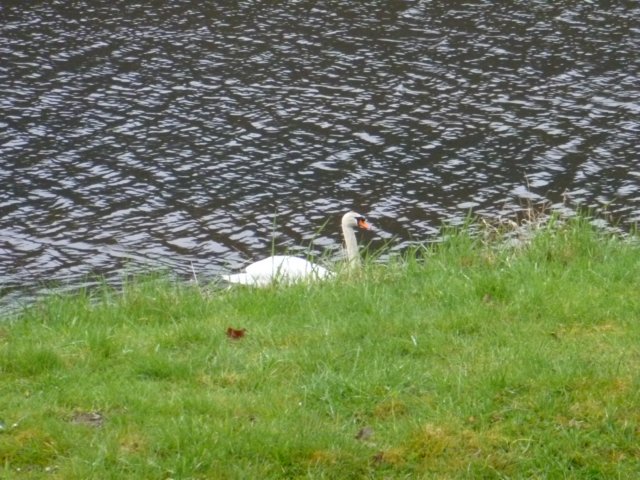 p1020374.jpg