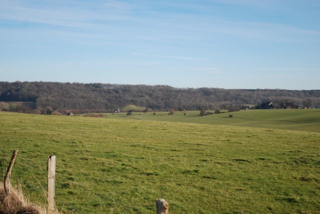 dsc_6114.jpg