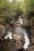 sized_img_7289_small.jpg