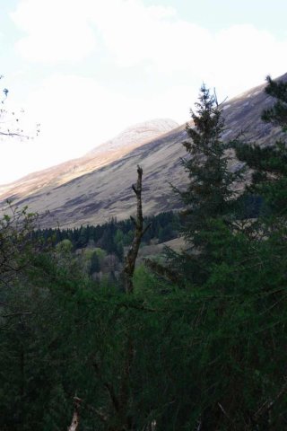 sized_img_7294.jpg