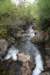 sized_img_7304_small.jpg
