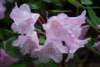 d3dwc__schotlandsco205_small.jpg