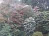 d3dwc__schotlandsco418_small.jpg