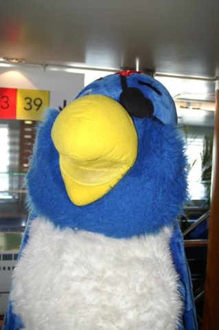 pict0006.jpg