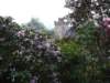 p1020732_small.jpg