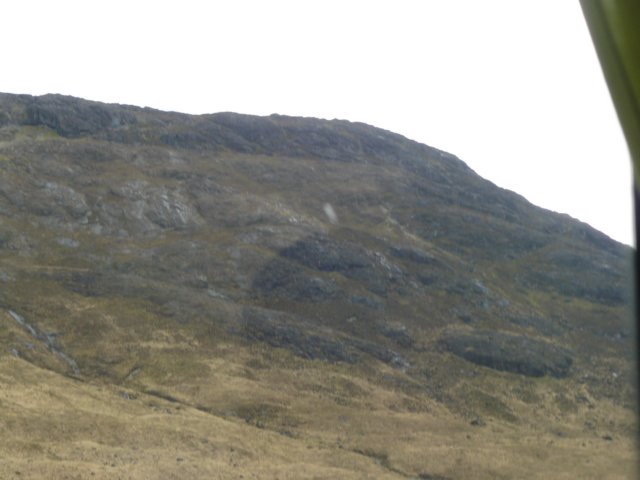p1020838.jpg