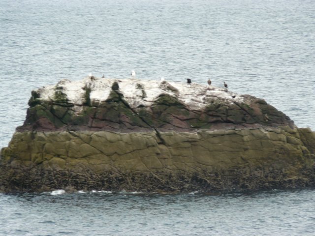 p1030131.jpg