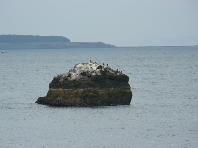 p1030133.jpg