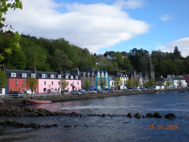 photo31.jpg