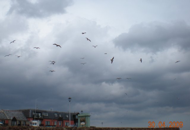photo62.jpg