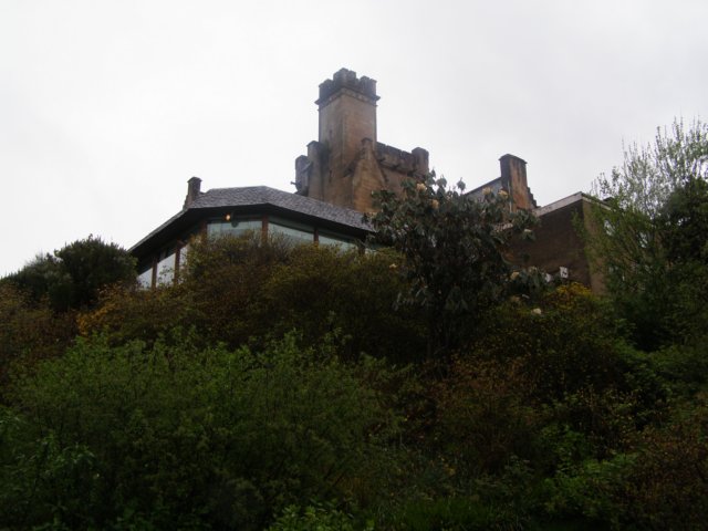 p4270276.jpg