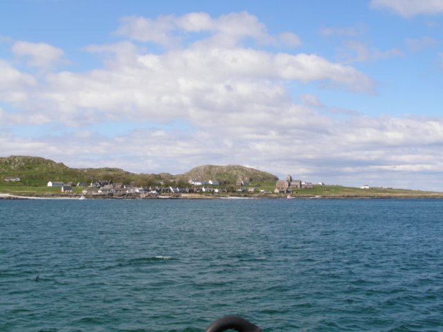 p4280471.jpg
