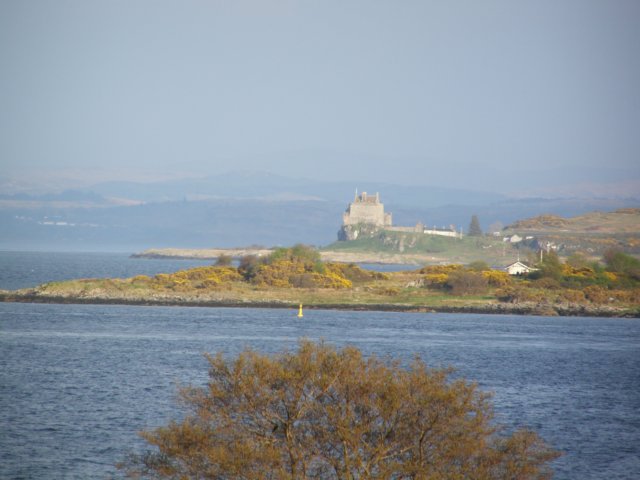 p4280575.jpg