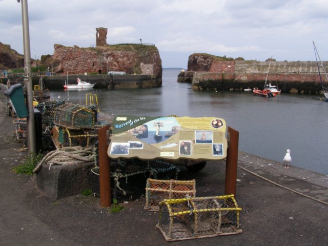 p4300634.jpg