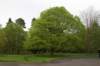 dsc01466_small.jpg