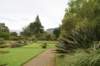 dsc01485_small.jpg