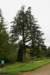 dsc01487_small.jpg