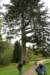 dsc01489_small.jpg