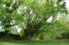 dsc01490_small.jpg