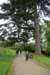 dsc01491_small.jpg