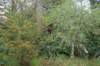 dsc01492_small.jpg