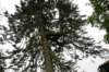 dsc01506_small.jpg