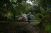 dsc01507_small.jpg