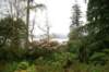 dsc01508_small.jpg