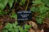 dsc01510_small.jpg