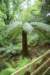 dsc01511_small.jpg