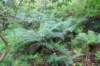 dsc01513_small.jpg