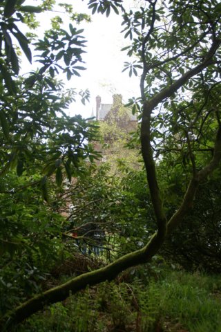 dsc01514.jpg