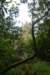 dsc01514_small.jpg