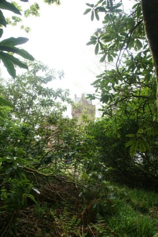 dsc01515.jpg