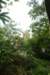dsc01515_small.jpg