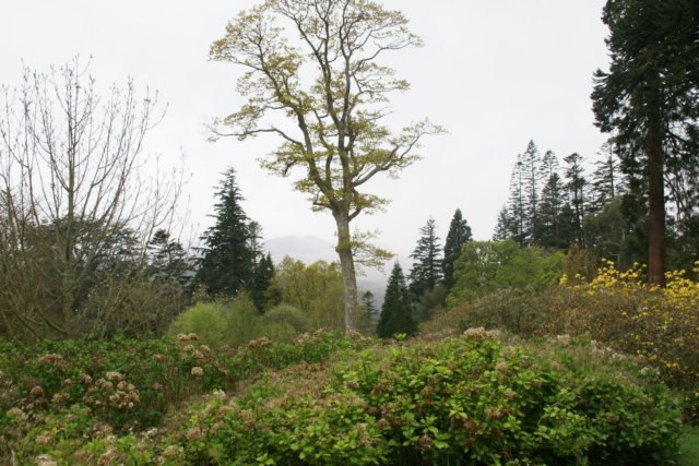 dsc01520.jpg