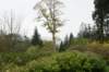 dsc01520_small.jpg
