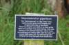 dsc01521_small.jpg
