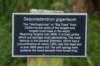 dsc01522_small.jpg