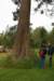 dsc01523_small.jpg