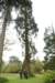 dsc01524_small.jpg