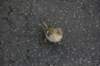 dsc01527_small.jpg
